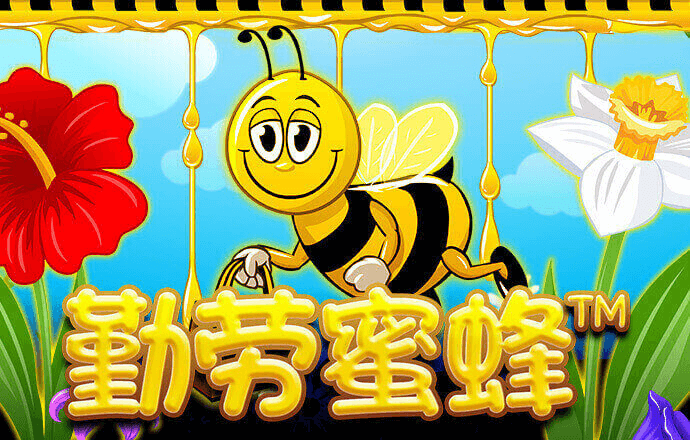 kok官方体育入口手机版